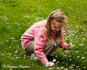 4517574218_b8f63e98e2