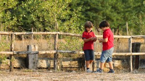 picchio-rosso-maggiore-2312