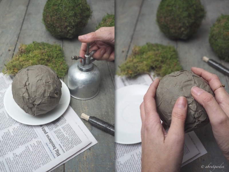 bagnare carta sfera di muschio