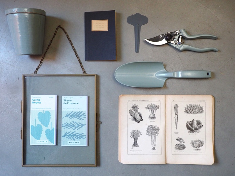 Piccolo Veg foto 1 S.Chiarugi