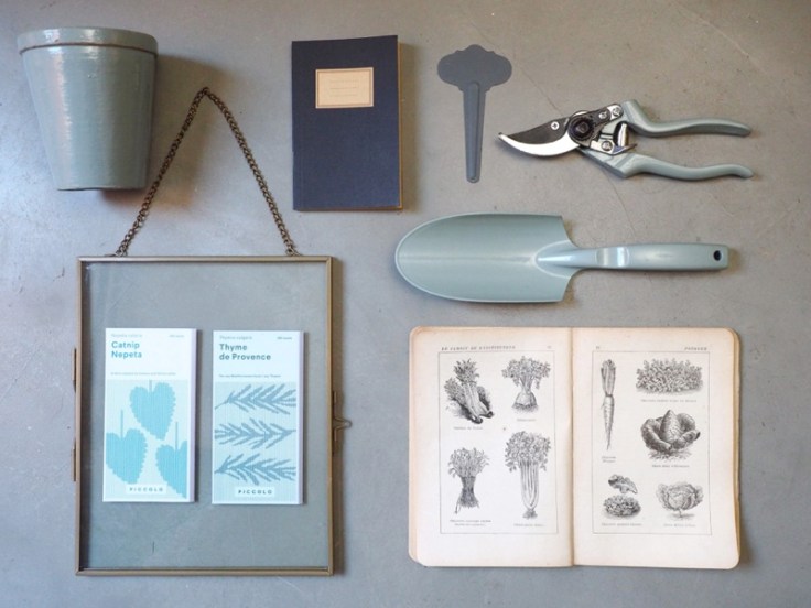 Piccolo Veg foto 1 S.Chiarugi