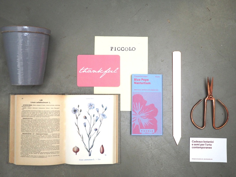 Piccolo Veg foto 4 S.Chiarugi