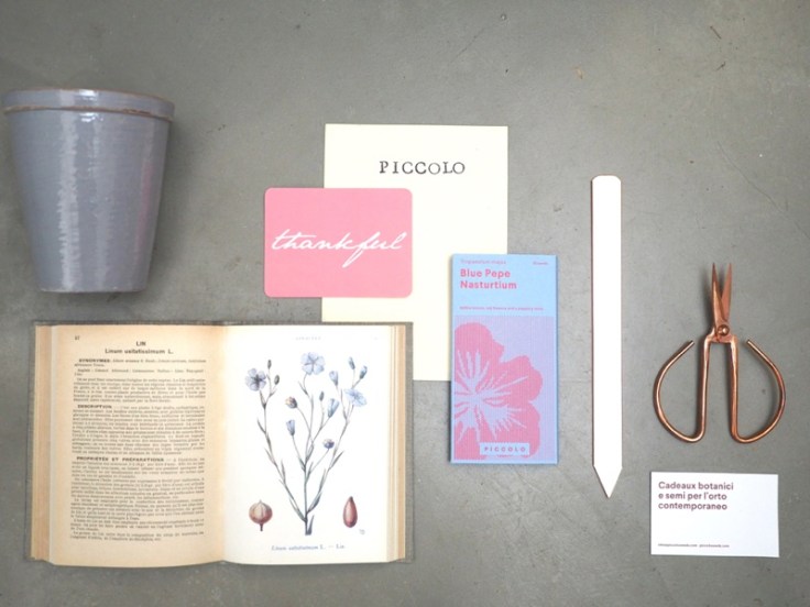 Piccolo Veg foto 4 S.Chiarugi