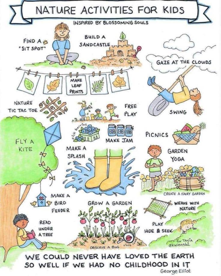 53473725_2215986765128787_2572651840839614464_n