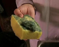 alimenti-e-haccp-caccia-all-errore-in-cucina